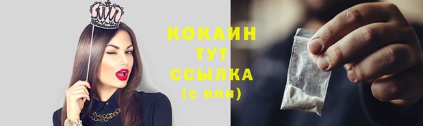 прущие крисы Горняк