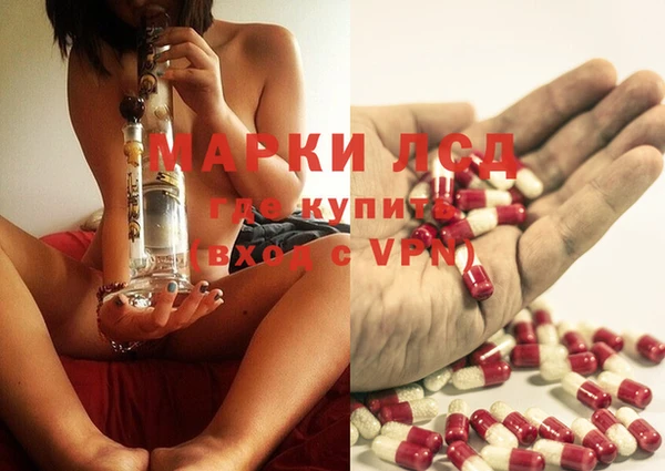 ECSTASY Вяземский