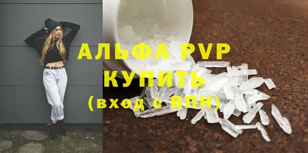 ECSTASY Вяземский