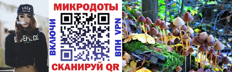 Псилоцибиновые грибы MAGIC MUSHROOMS  Купить  Красный Сулин 